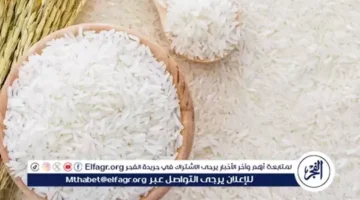 تغير لافت في سعر طن الأرز الأبيض بالمنيا يوم الجمعة 28 نوفمبر